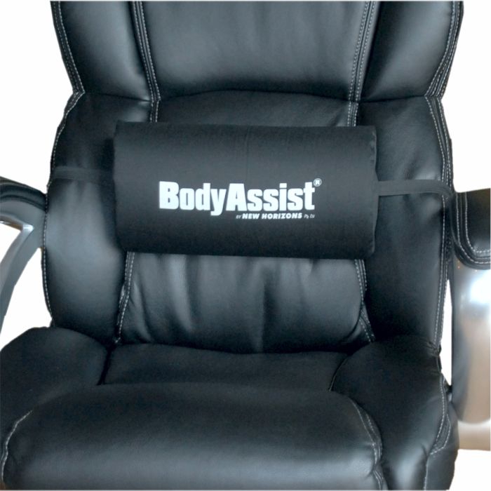Body Assist D Shape Lumbar Roll Cushion