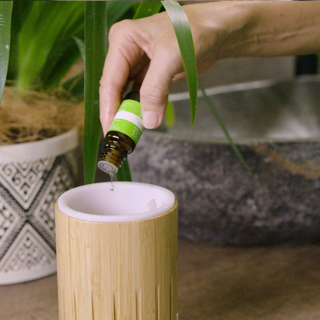 Zea Essentials 100% Pure Essential Oil Kunzea (Healing and Purifying) 10ml