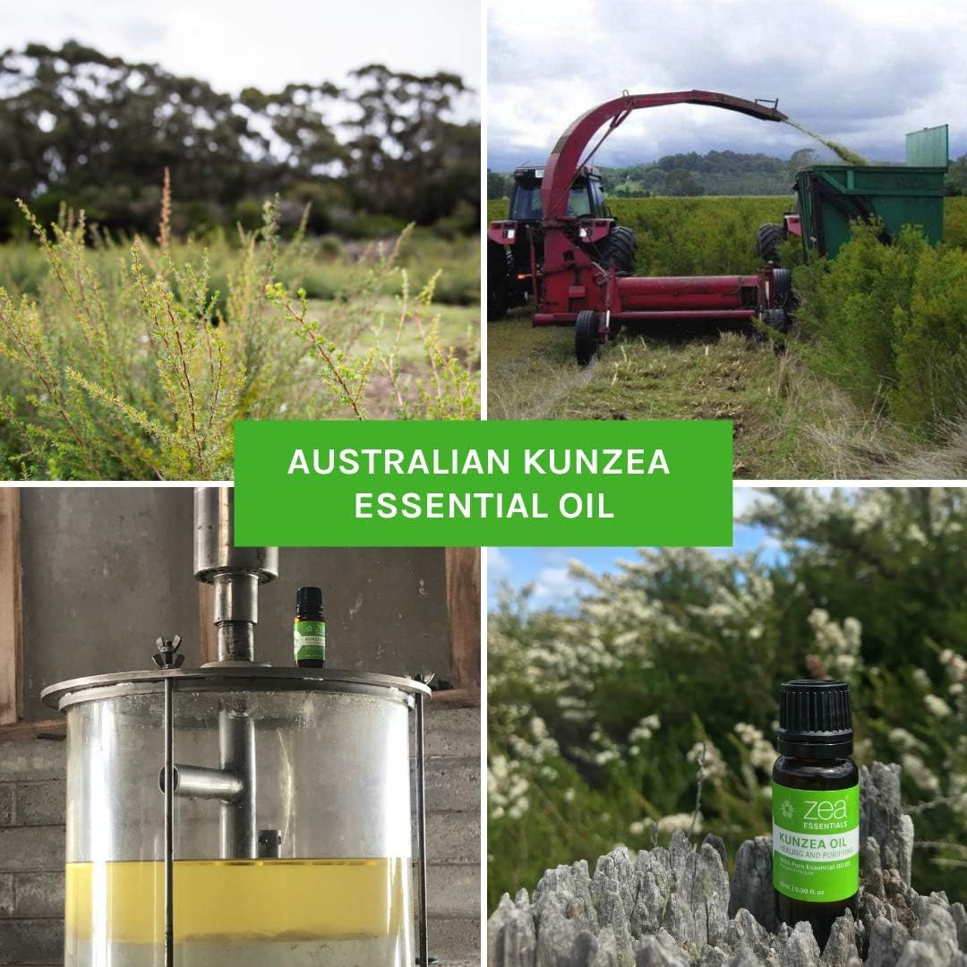 Zea Essentials 100% Pure Essential Oil Kunzea (Healing and Purifying) 10ml