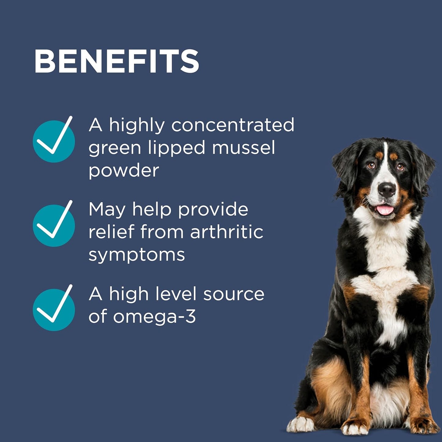 PAW By Blackmores OsteoSupport Joint Care (Powder For Dogs) 150c