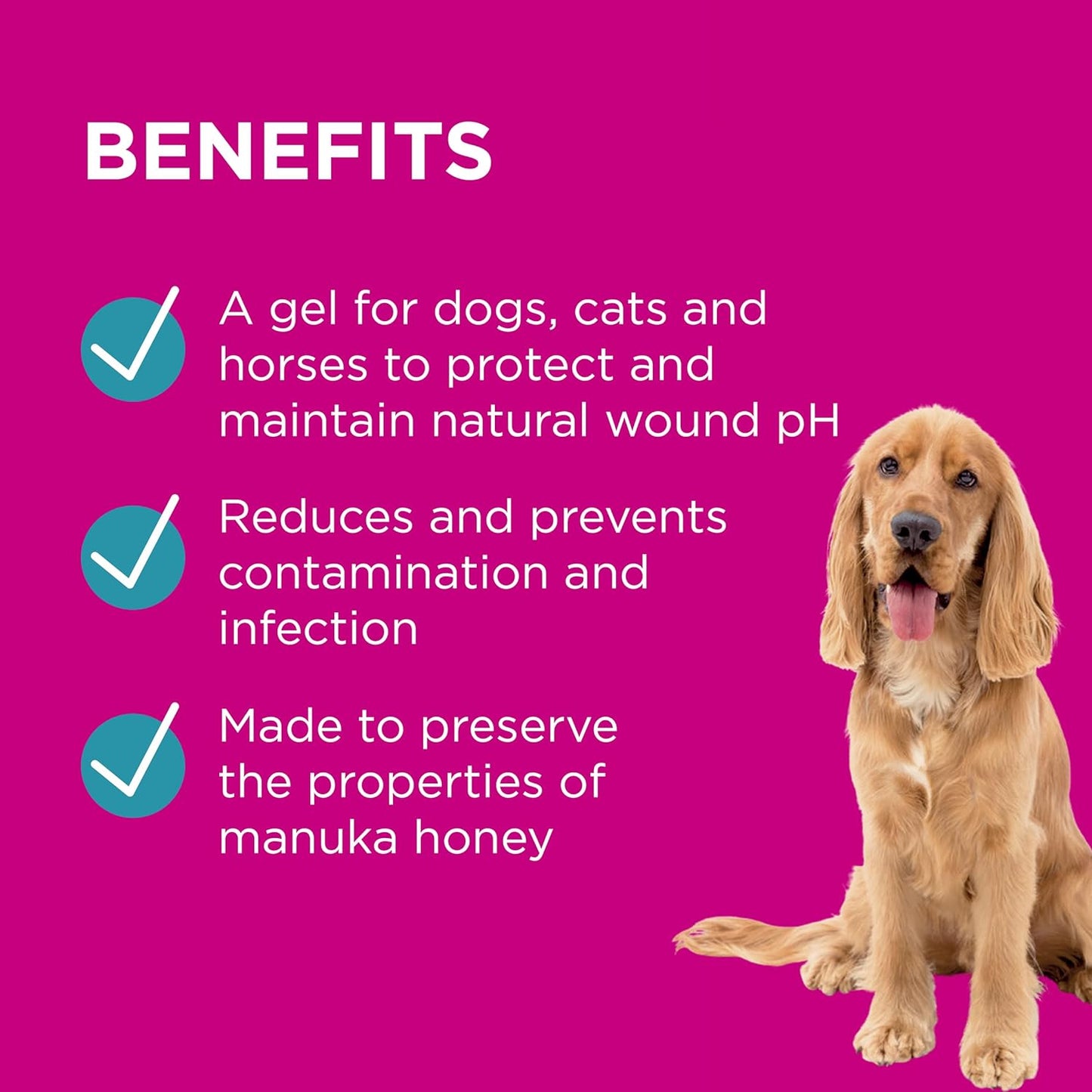 PAW By Blackmores Manuka Wound Gel (+ Protective Barrier For Wound Care) 100g