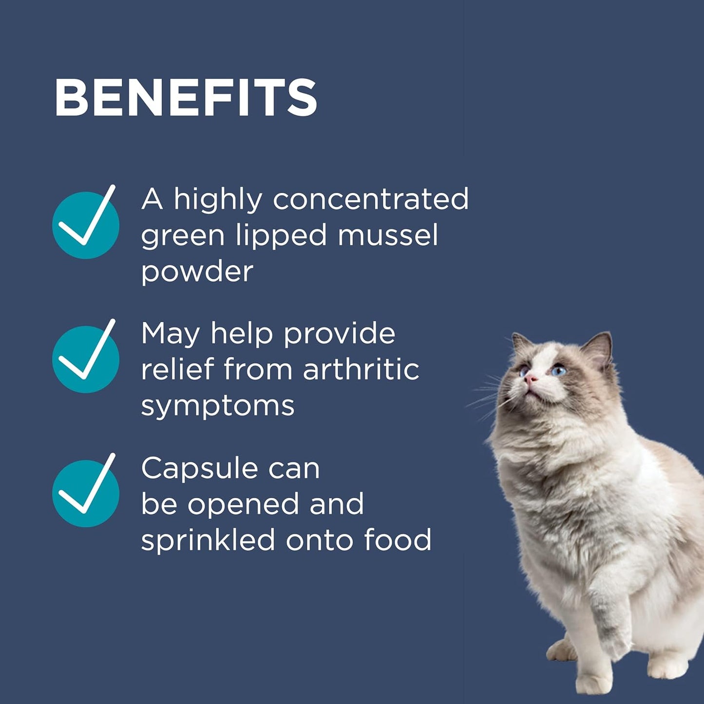 PAW By Blackmores OsteoSupport Joint Care (Powder For Cats) 60c