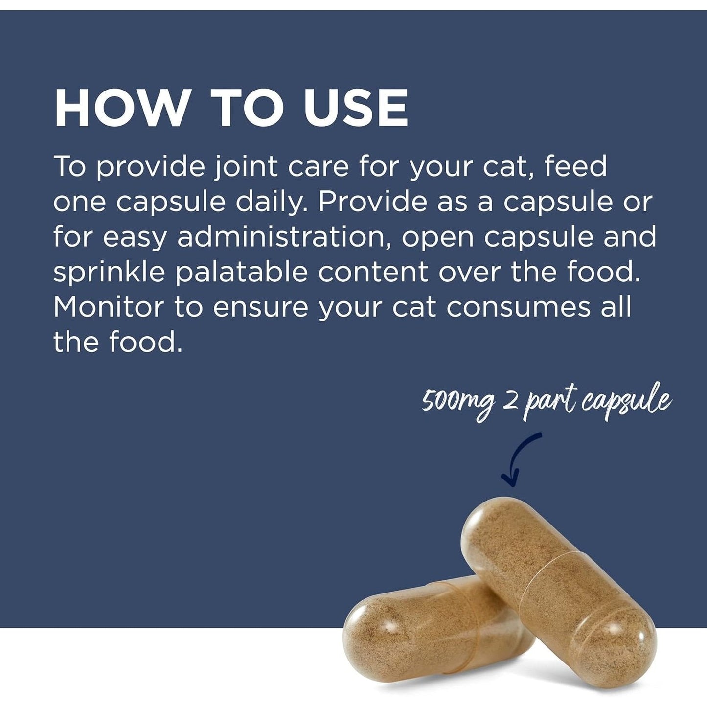 PAW By Blackmores OsteoSupport Joint Care (Powder For Cats) 60c
