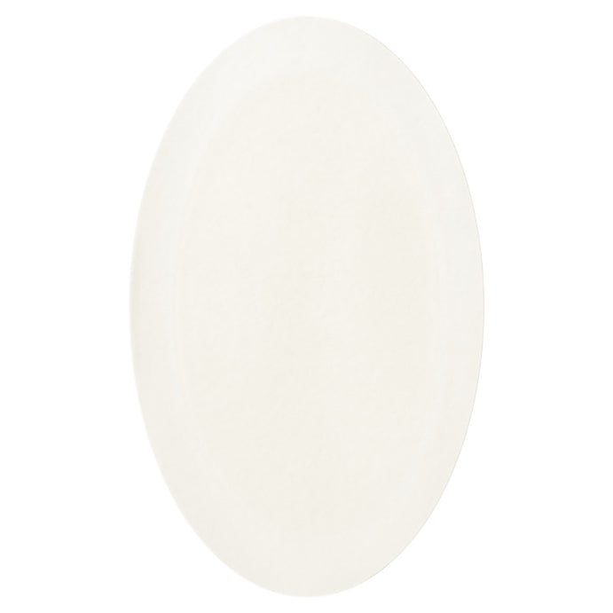 Scholl Blister Plasters Large 5 Pack