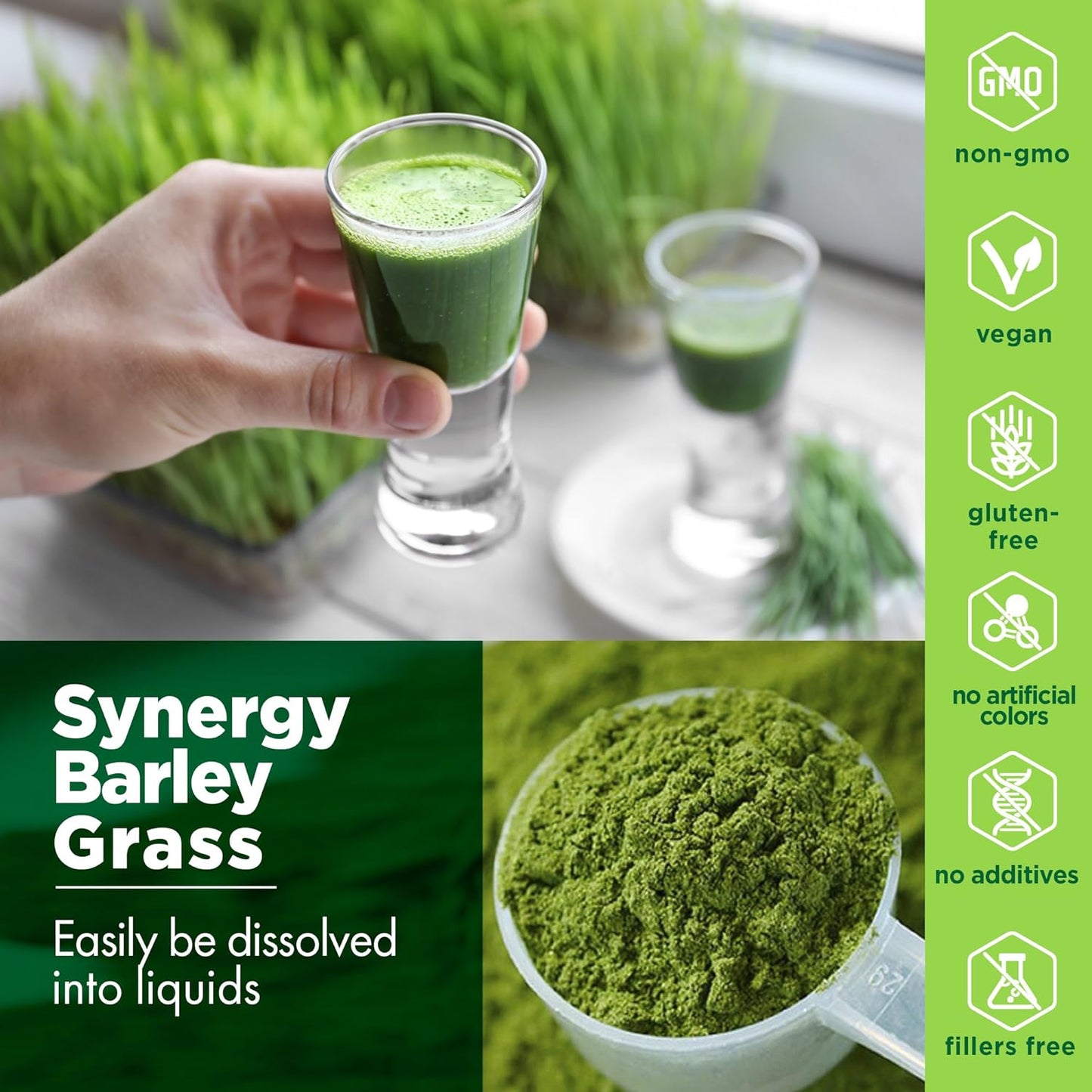 Synergy Natural Organic Barley Grass Powder 100g