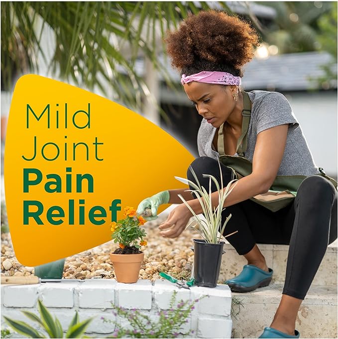 Pana Natra Joint Pain Relief 30 tablets