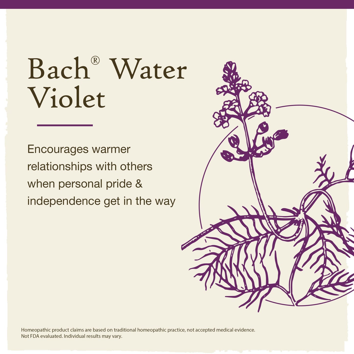 Bach Flower Remedies Water Violet 20ml