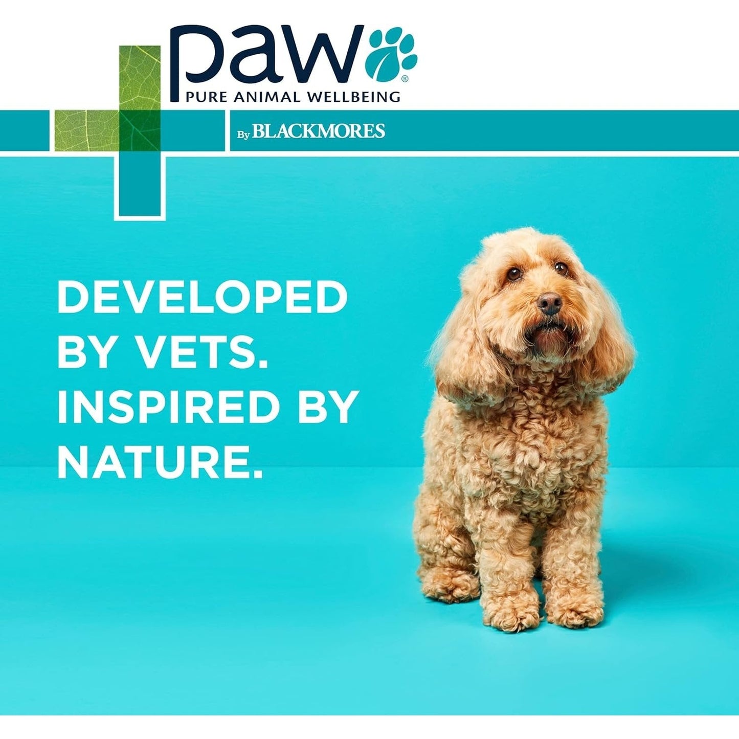 PAW By Blackmores OsteoCare Joint Protect (For Dogs approx 100 Chews) 500g