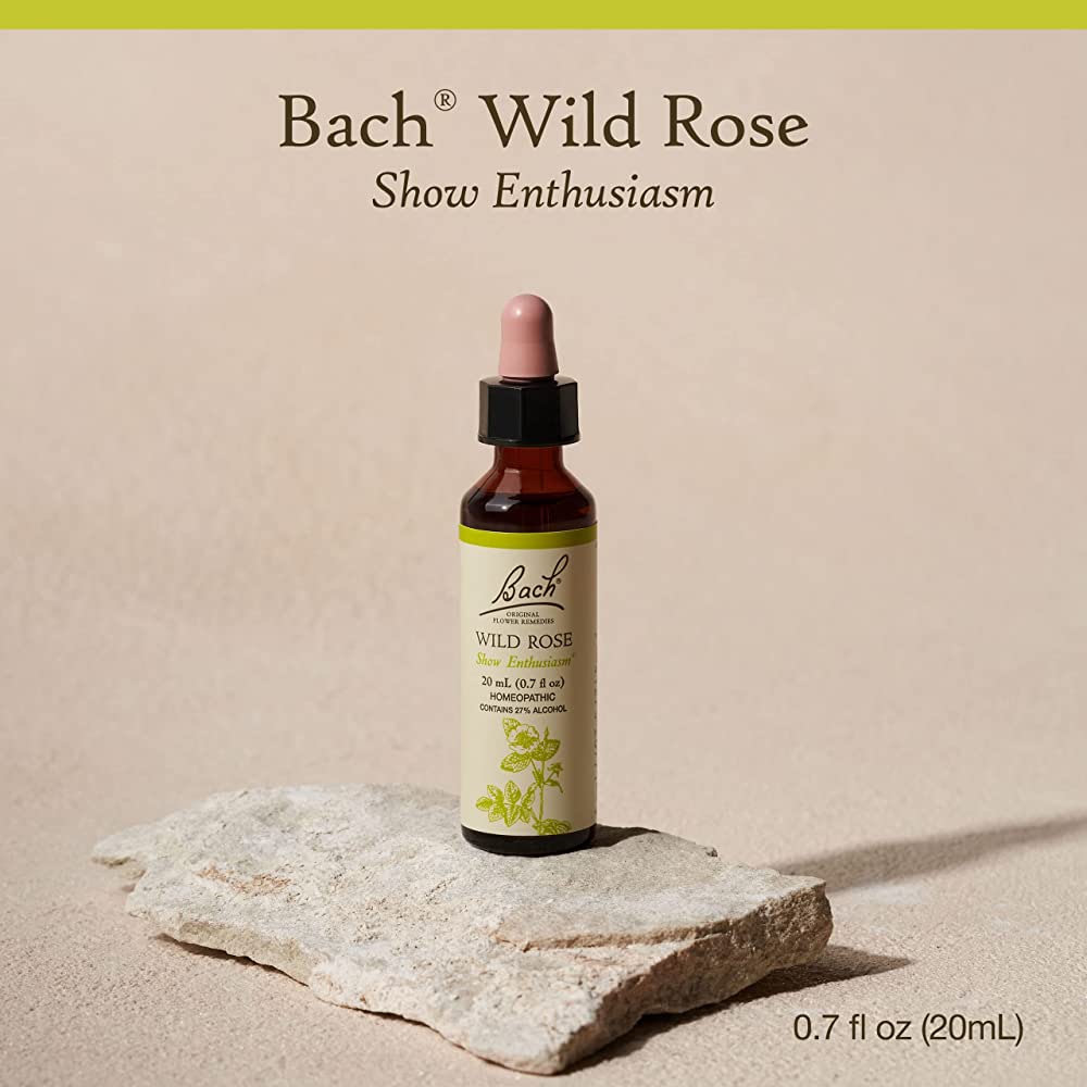 Bach Flower Remedies Wild Rose 20ml