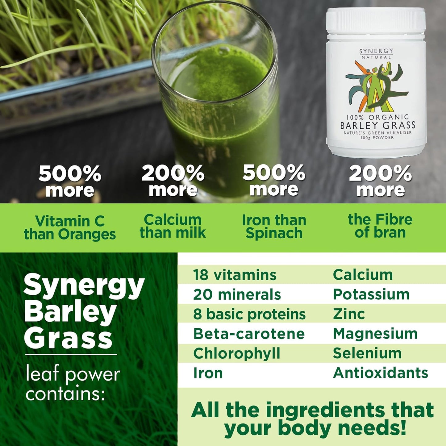 Synergy Natural Organic Barley Grass Powder 100g