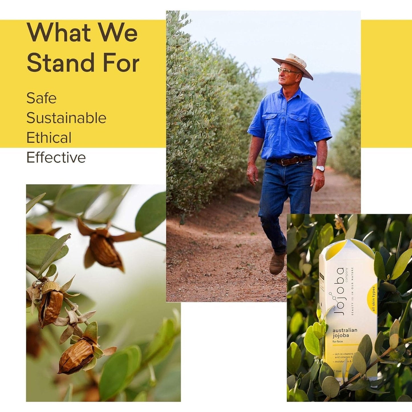 THE JOJOBA COMPANY Jojoba Pigmentation Oil With Carrot & Tyrostat 30ml