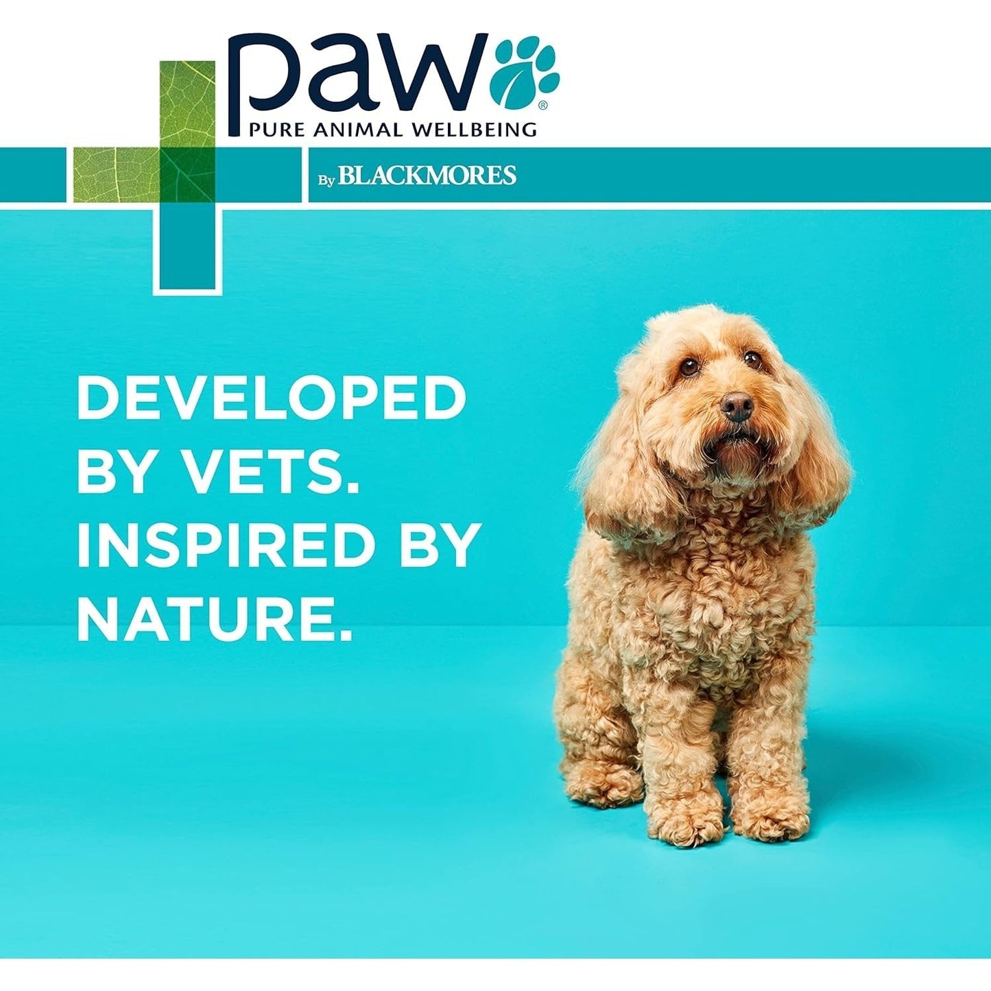 PAW By Blackmores Gentle Ear Cleaner (For Dogs & Cats) 120ml