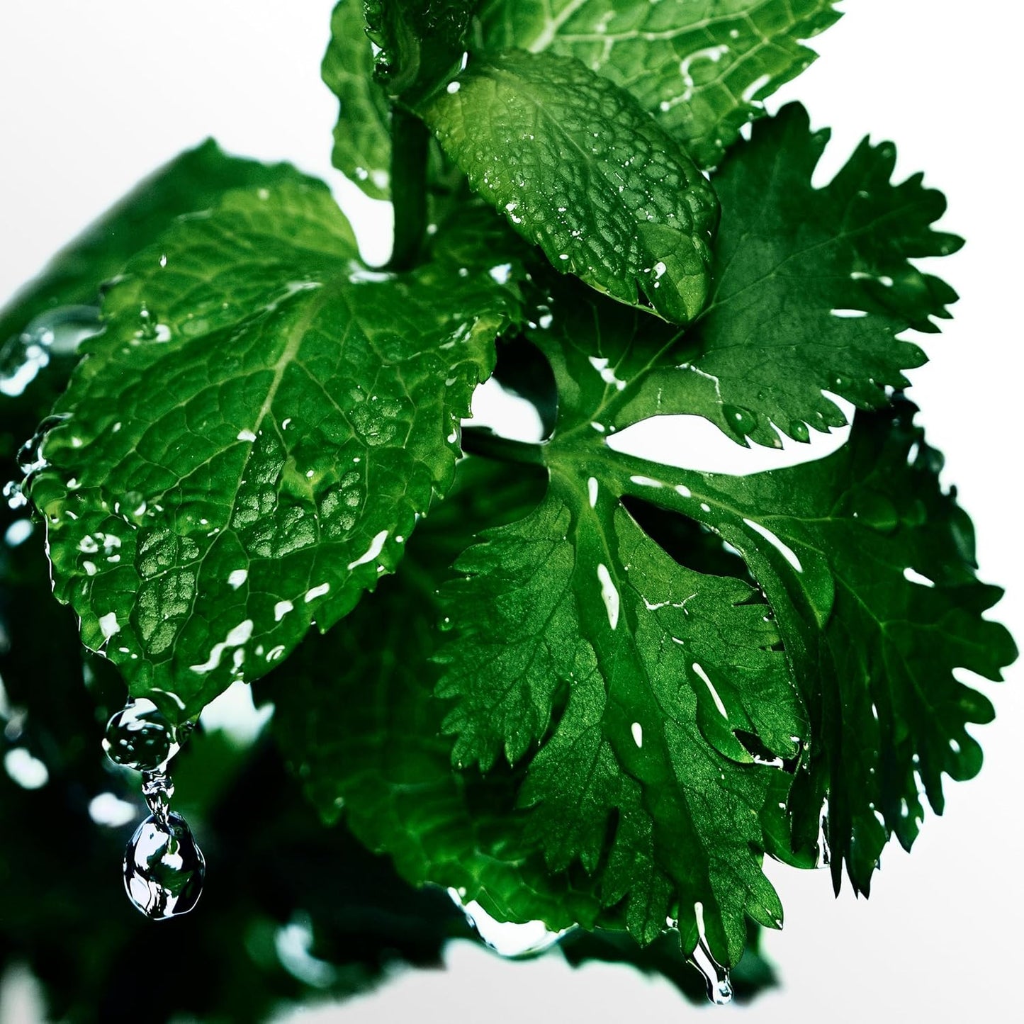 Davidoff Cool Water Men EDT 125mL