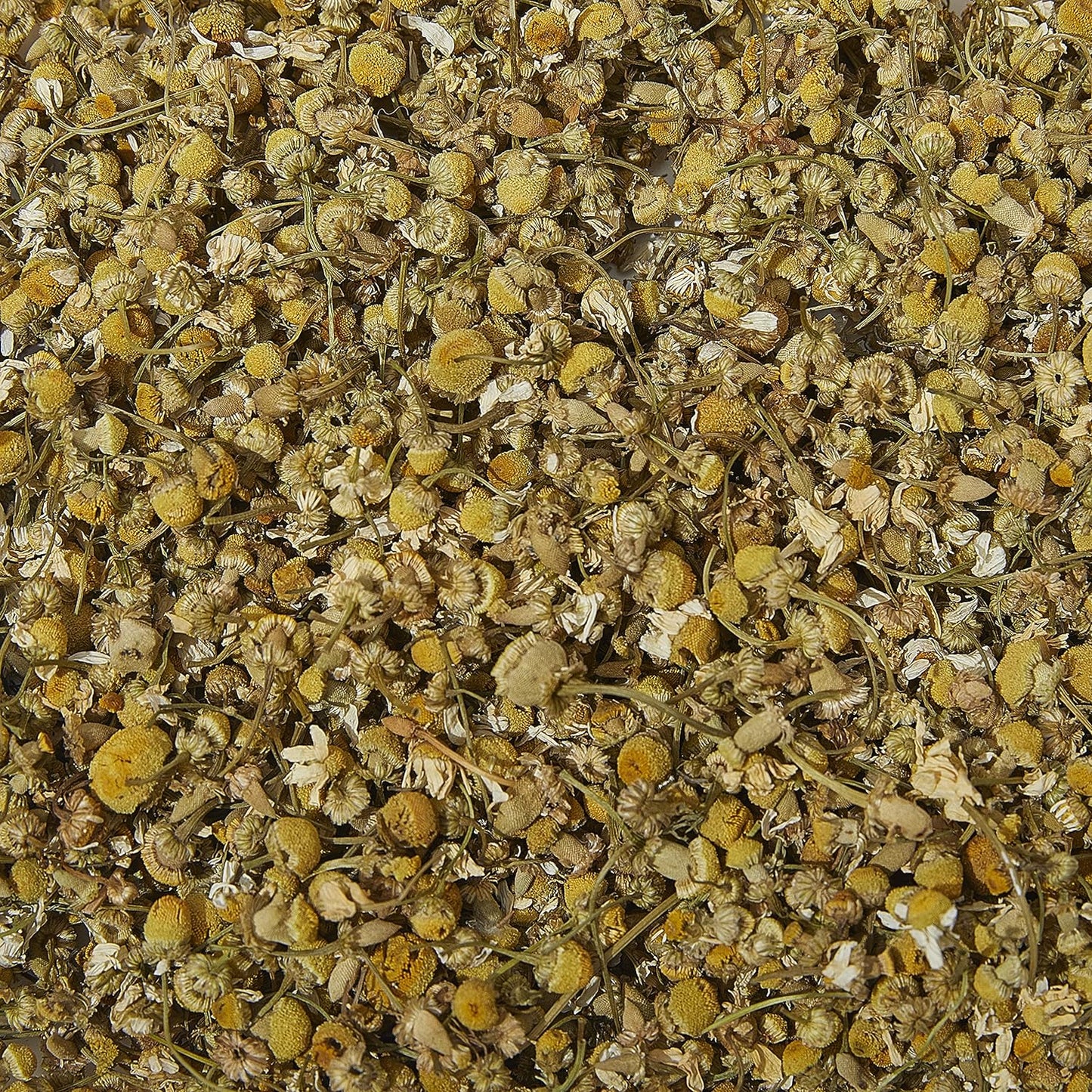 Tea Tonic Organic Chamomile Tea Caddy Tin 70g