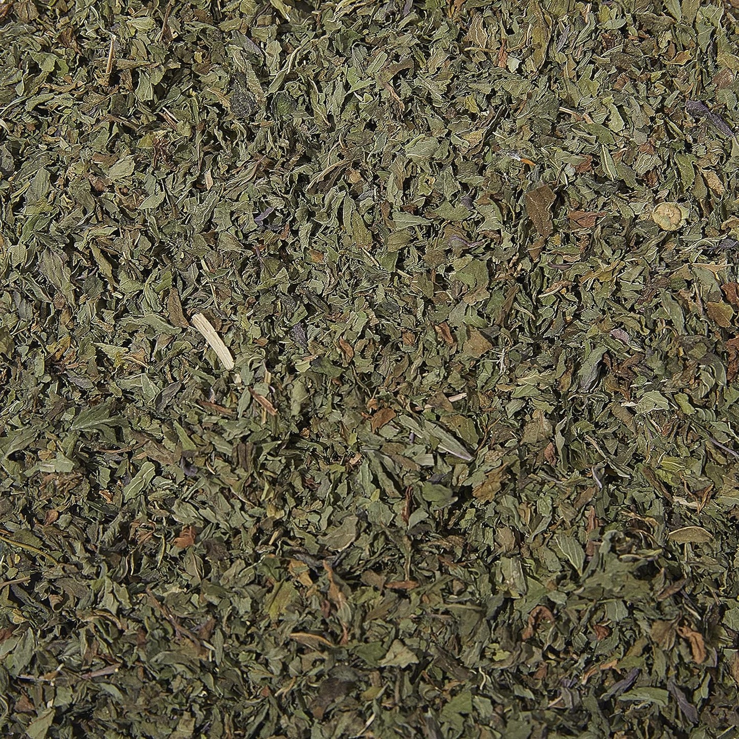 Tea Tonic Organic Peppermint Tea Caddy Tin 95g