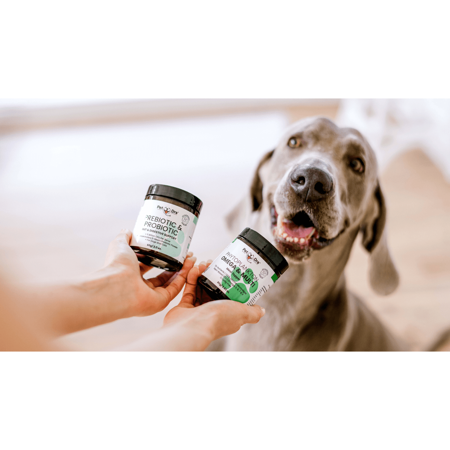 Pet Drs Prebiotic & Probiotic Gut & Digestive Support (For Dogs & Cats) 60g