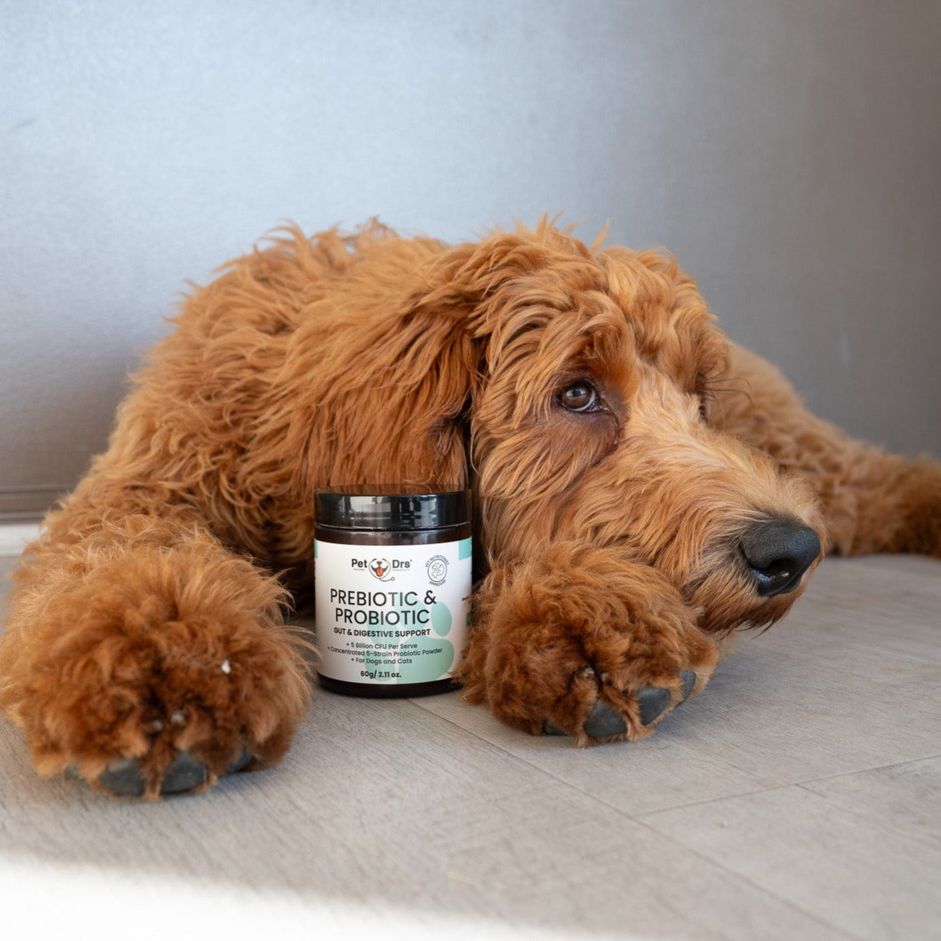 Pet Drs Prebiotic & Probiotic Gut & Digestive Support (For Dogs & Cats) 60g