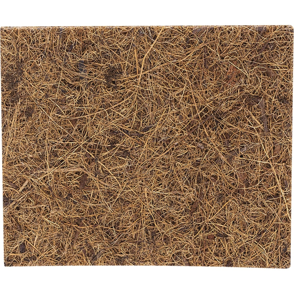 ECOCOCONUT Scourer Scrub Pad 2