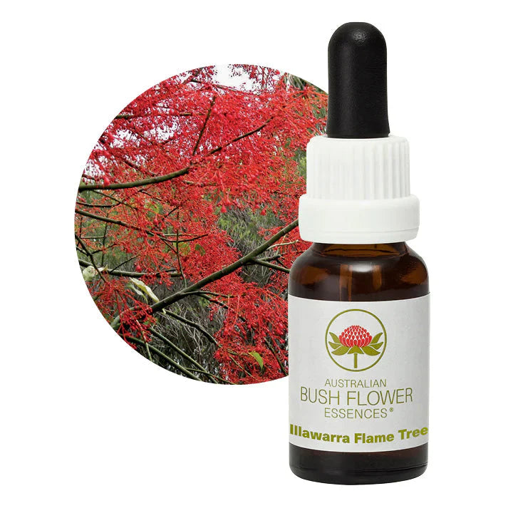 Australian Bush Flower Essences Illawarra Flame Tree 15ml