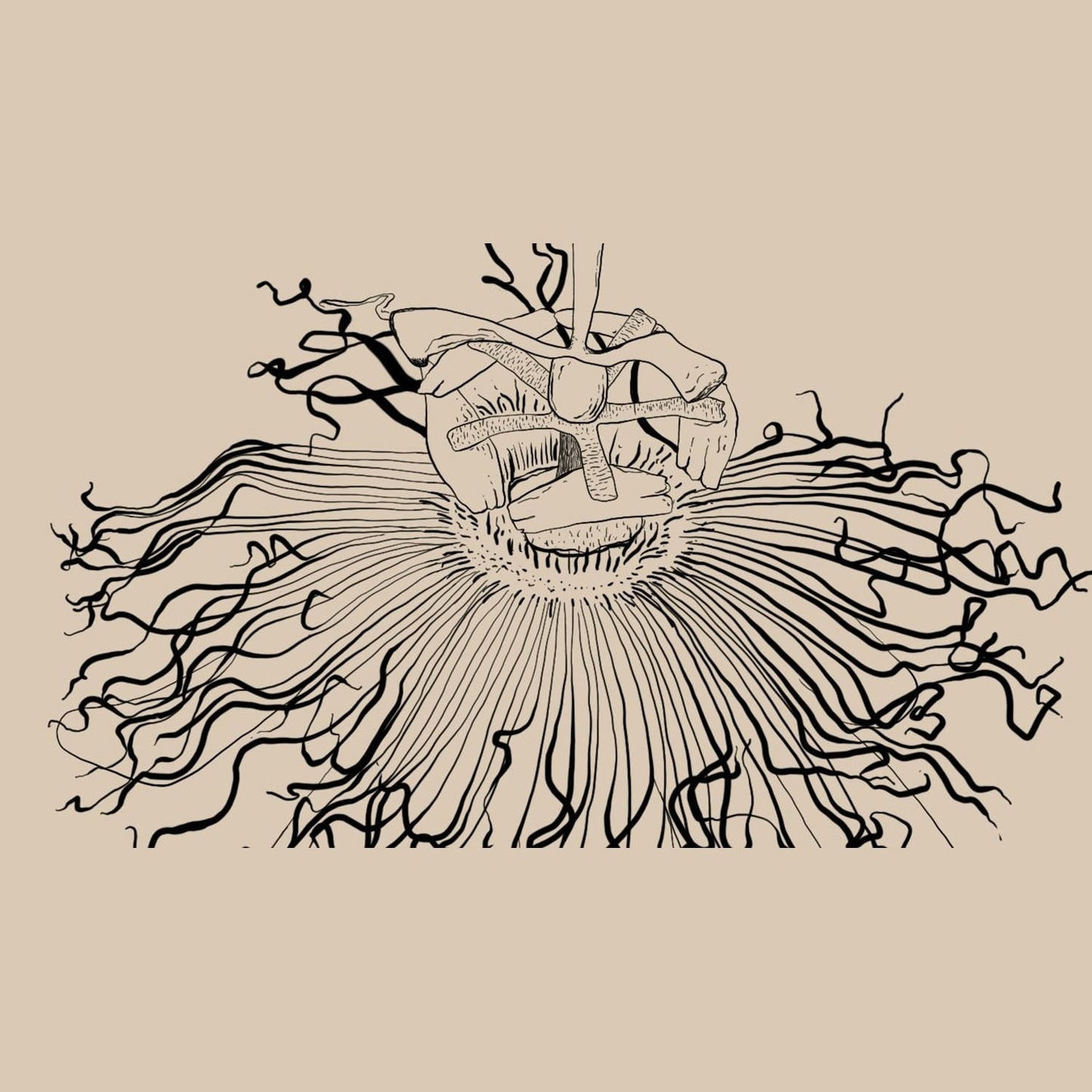 WANDERLUST SOULFUL SLEEP 30 CAPS