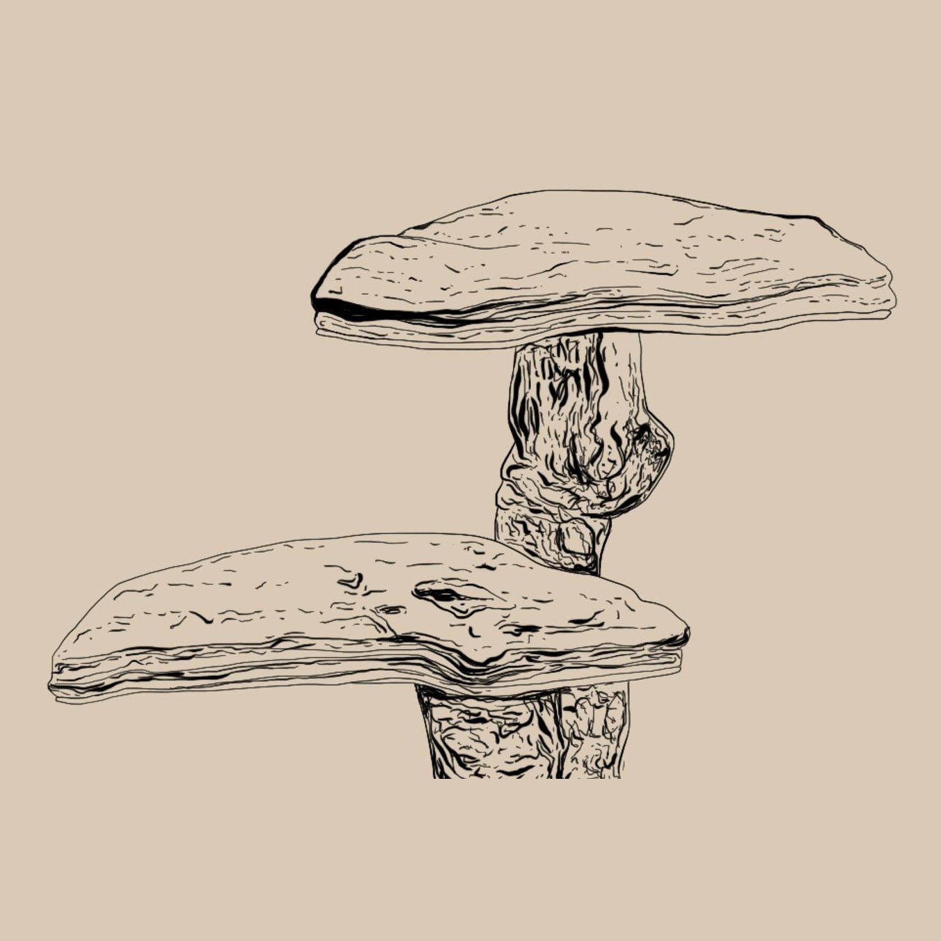 WANDERLUST REISHI DROPS 90ML