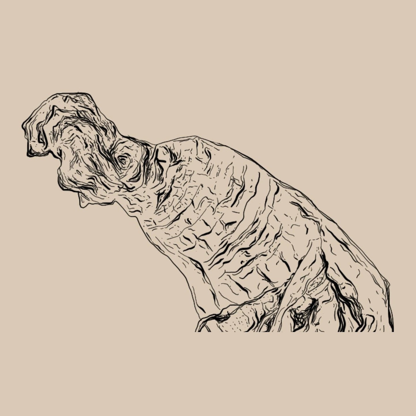 WANDERLUST SIBERIAN GINSENG DROPS 90ML