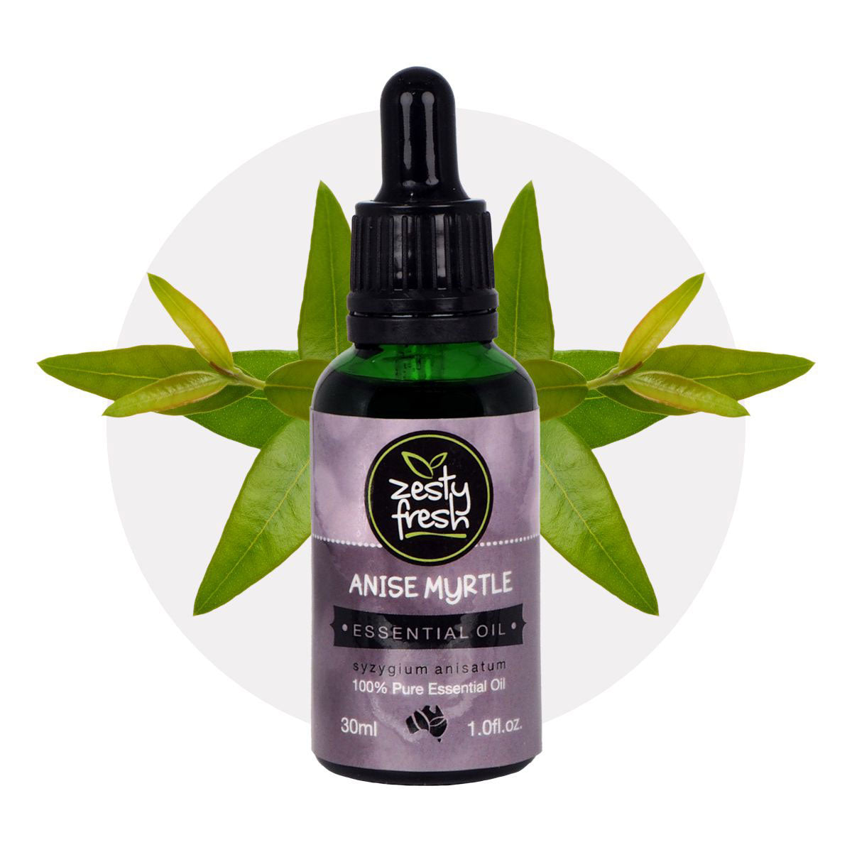 Zesty Fresh Essenital Oil Anise Myrtle 30ml