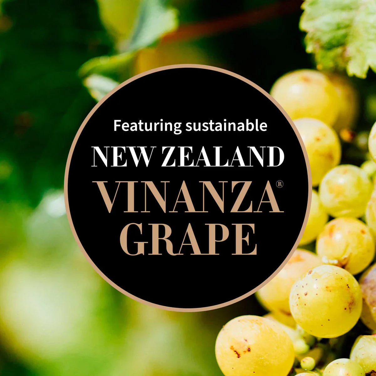 Antipodes Organic Grapeseed Butter Cleanser 75g