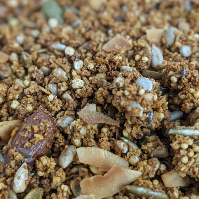 COASTAL CRUNCH Protein Crunch Granola Toasted Almond & Cinnamon 320g