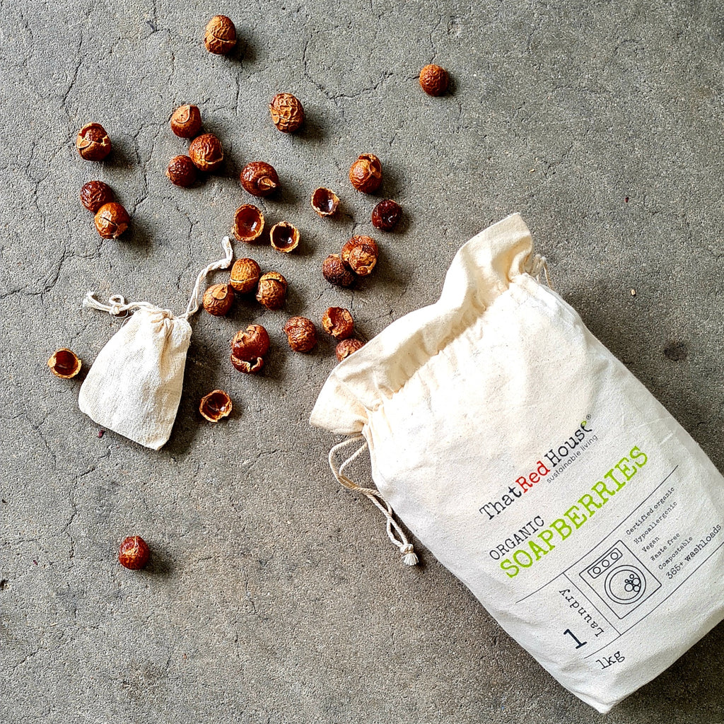 THAT RED HOUSE Organic Soapberries 365+ Washloads 1kg