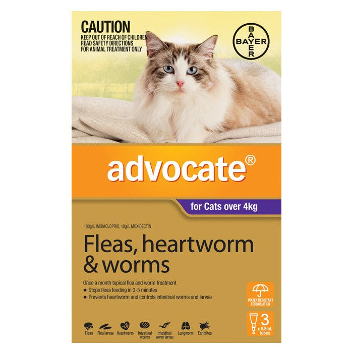 Advocate for Large Cats (Over 4kg) - 6 Pack