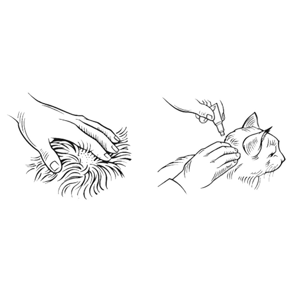 Advocate for Large Cats (Over 4kg) - 3 Pack