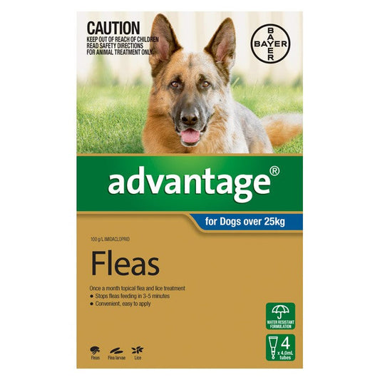 Advocate for Dogs Extra Large Over 25 Kg 6 Pack