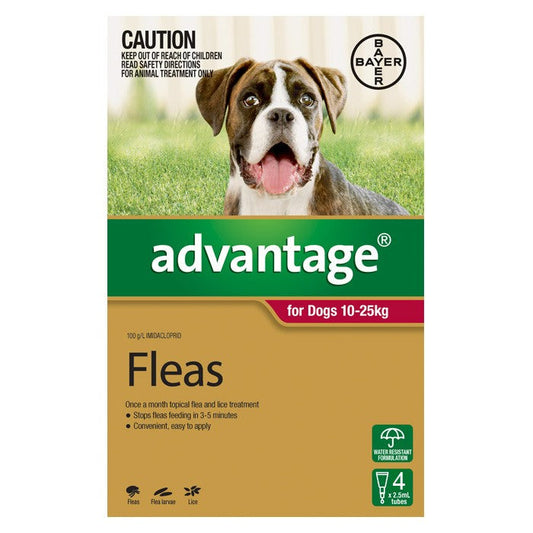 Advantage for Large Dogs (10-25kg) - 4 Pack