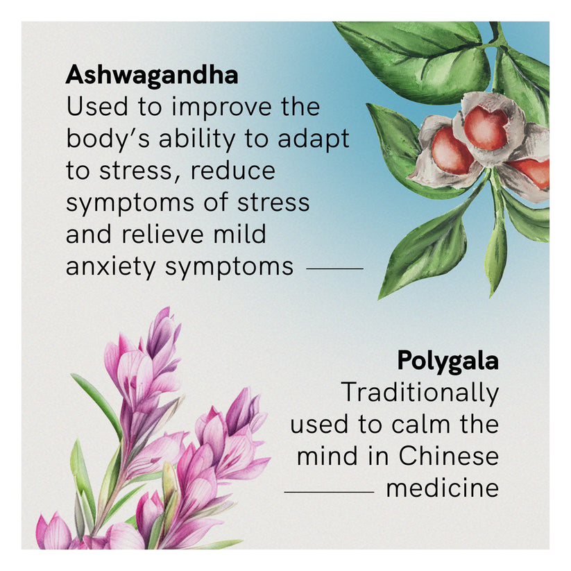 Fusion Health Stress & Anxiety 30t