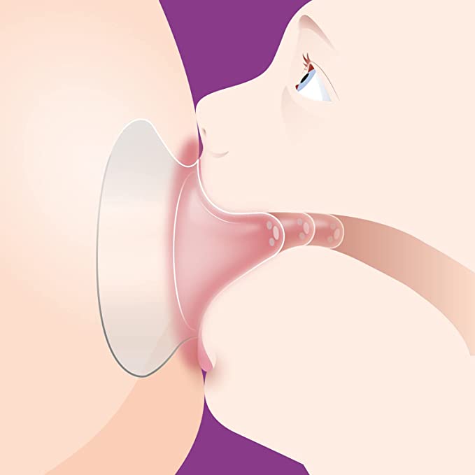 Avent Nipple Protector Standard 2 Pack M