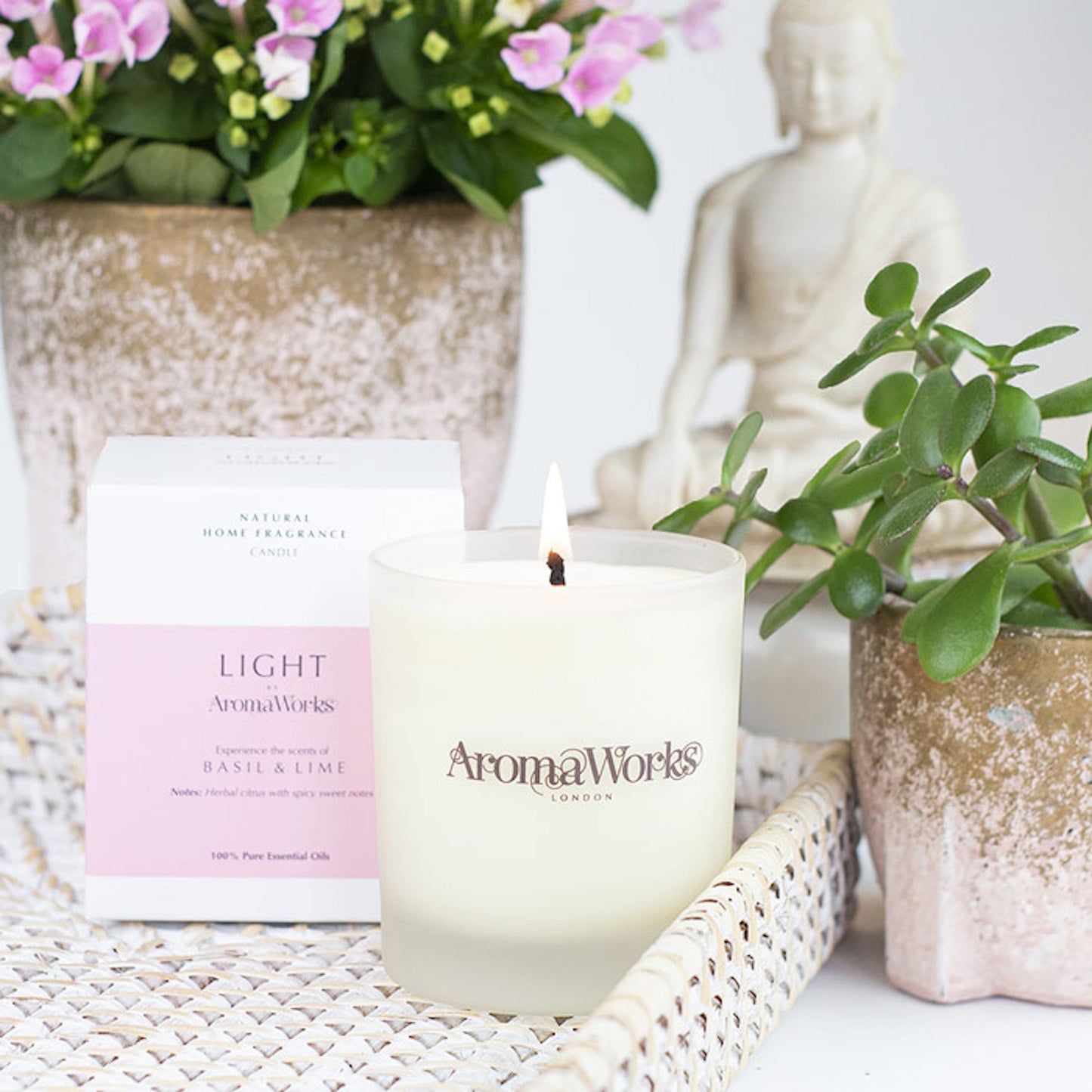 Aromaworks Light Candle Basil & Lime Medium 220g