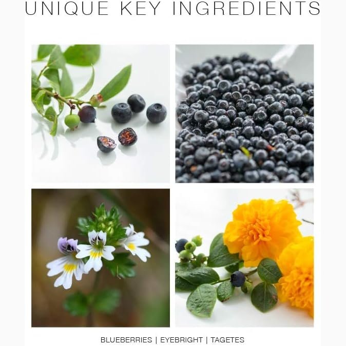 New Nordic Blue Berry Eyebright 60t