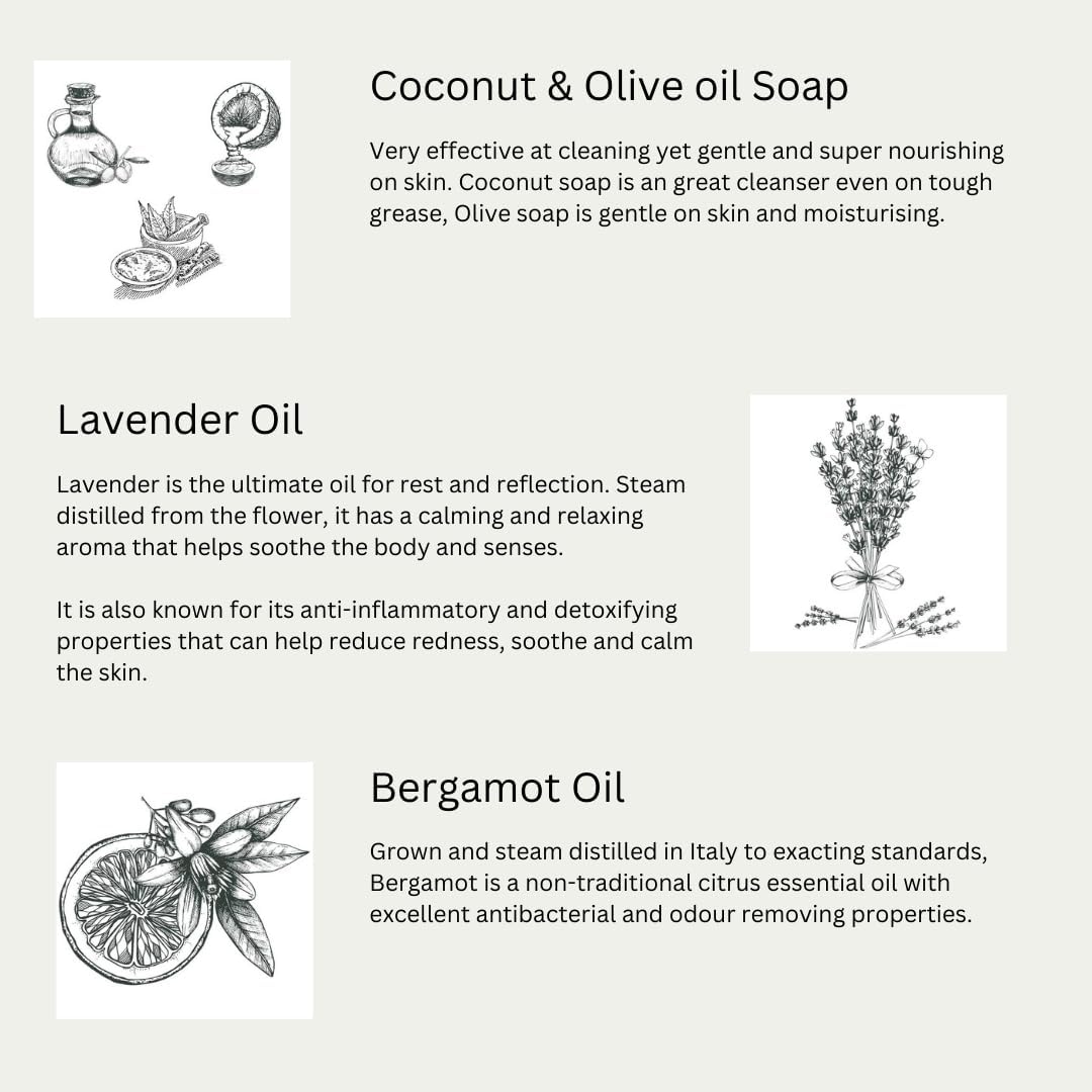 Euclove Toilet Cleaner 500ml