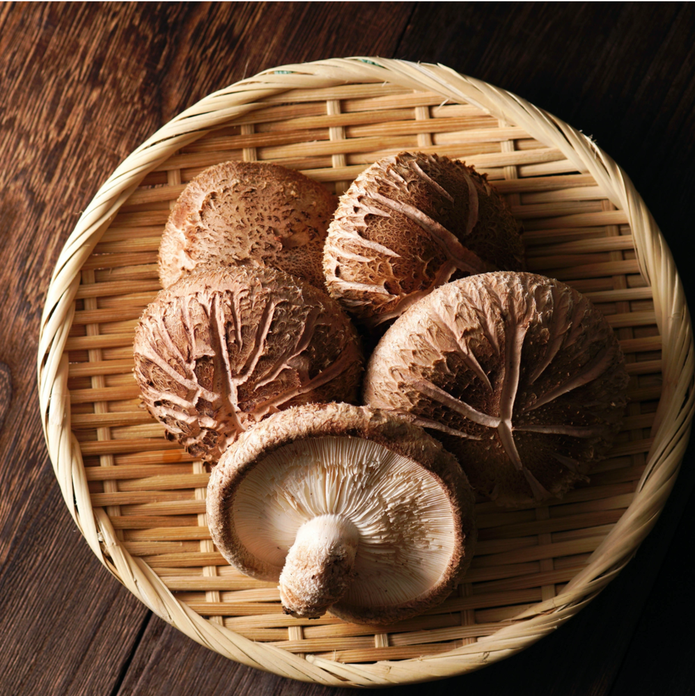 Life Cykel Shiitake Double Extract 120ml