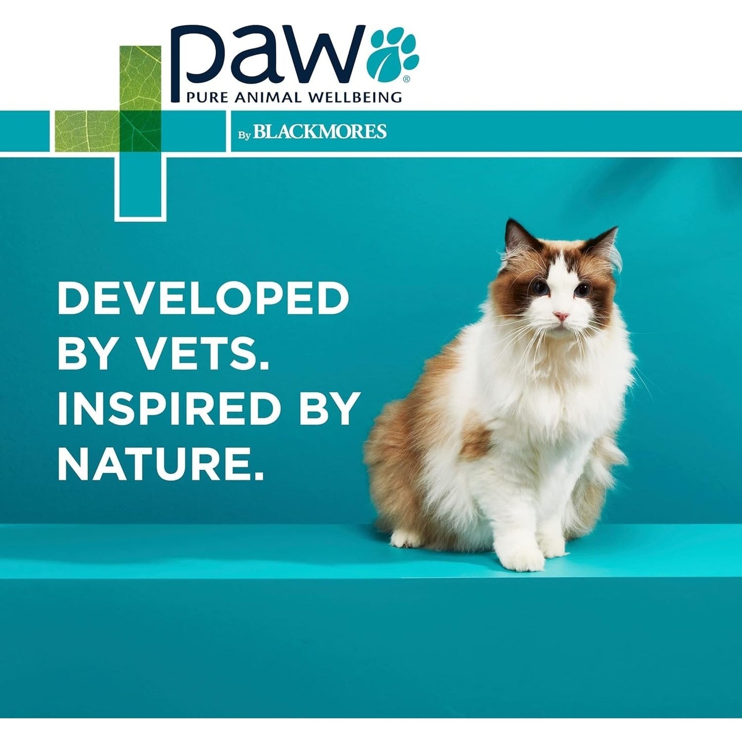 PAW By Blackmores OsteoSupport Joint Care (Powder For Cats) 60c