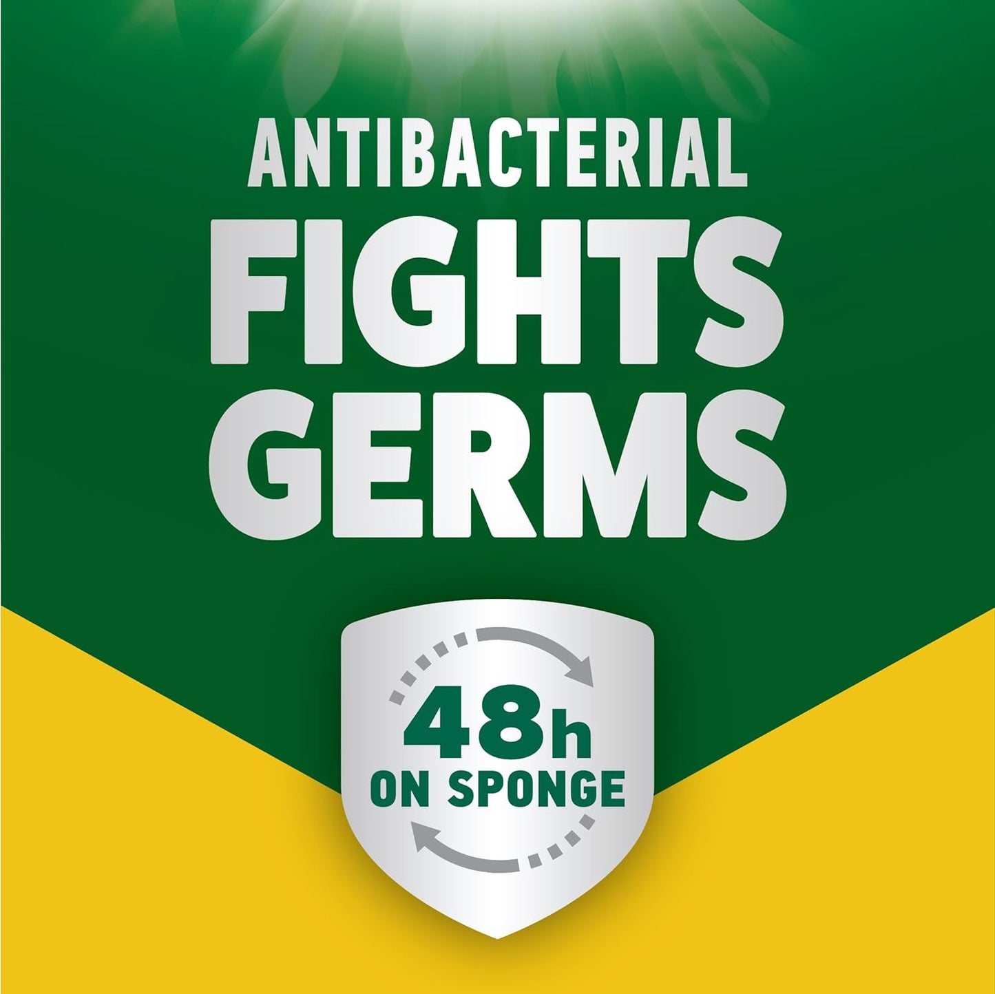 Morning Fresh Dishwashing Liquid Antibacterial Lemon 400ml