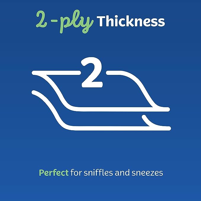 Kleenex Everyday Facial Tissues 200 Pack