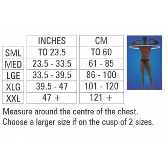Body Assist the Posture Improver