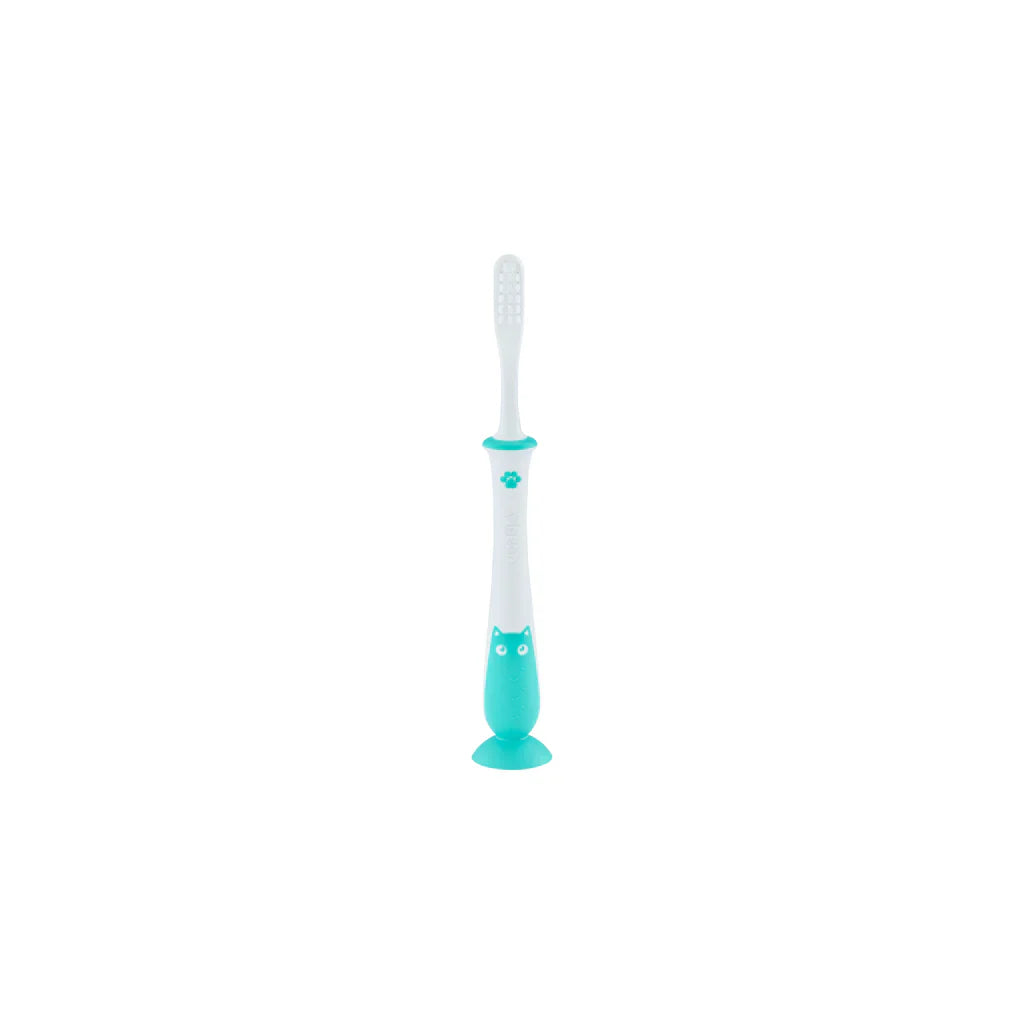 Pigeon Training Toothbrush Lesson 4 Mint