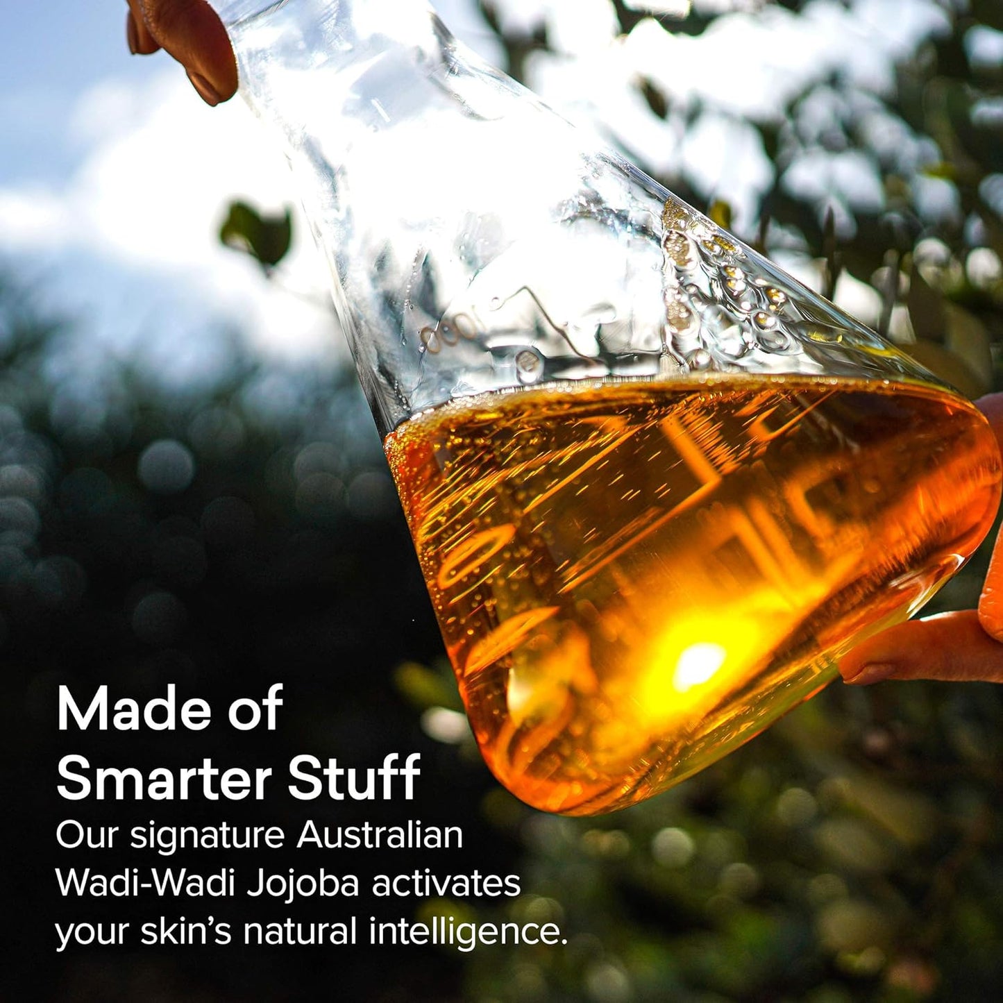 THE JOJOBA COMPANY Jojoba Pigmentation Oil With Carrot & Tyrostat 30ml