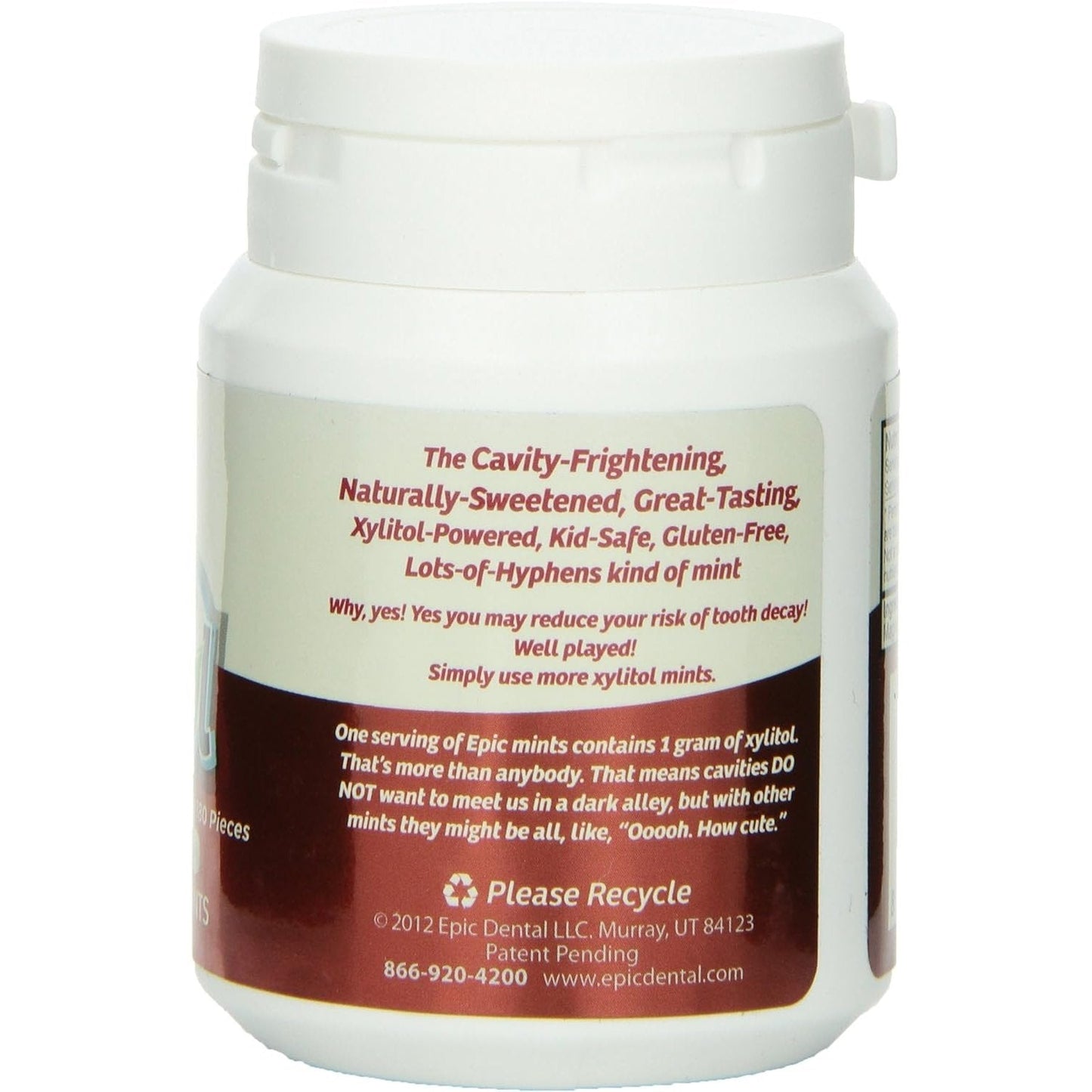 Epic Xylitol (Sugar-Free) Mints Cinnamon 180 Piece Tub
