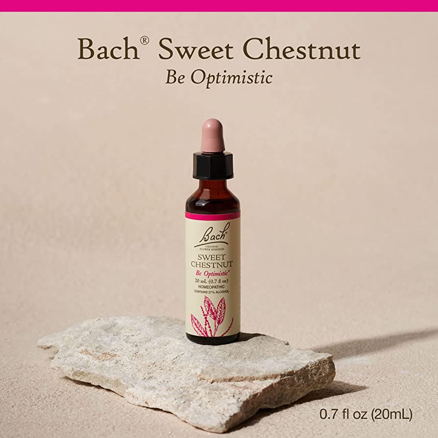 Bach Flower Remedies Sweet Chestnut 20ml
