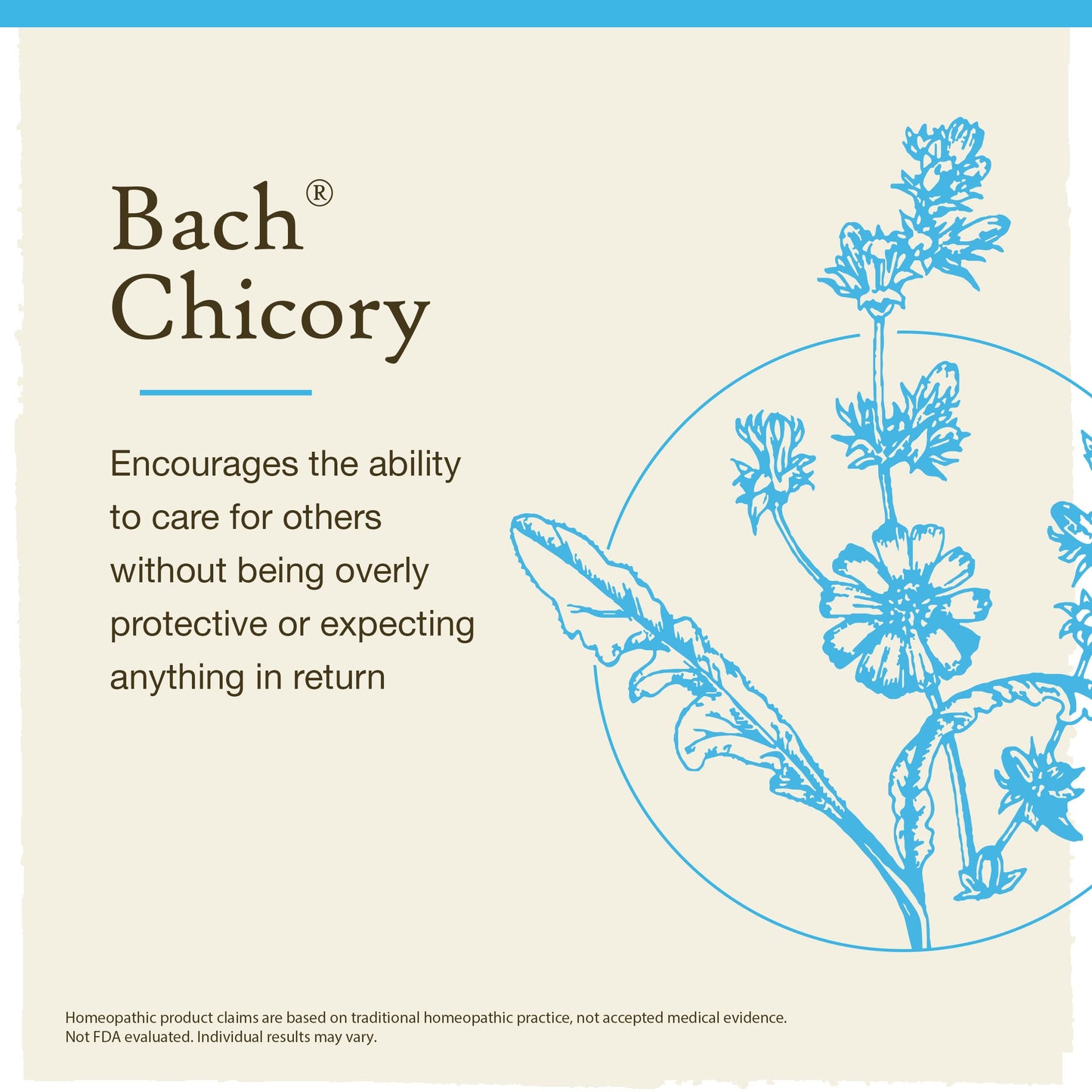 Bach Flower Remedies Chicory 20ml