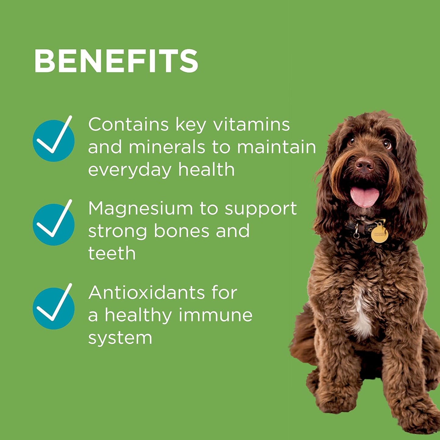 PAW By Blackmores Wellness + Vitality (For Dogs approx 60 chews) 300g